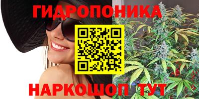 MDMA Сланцы