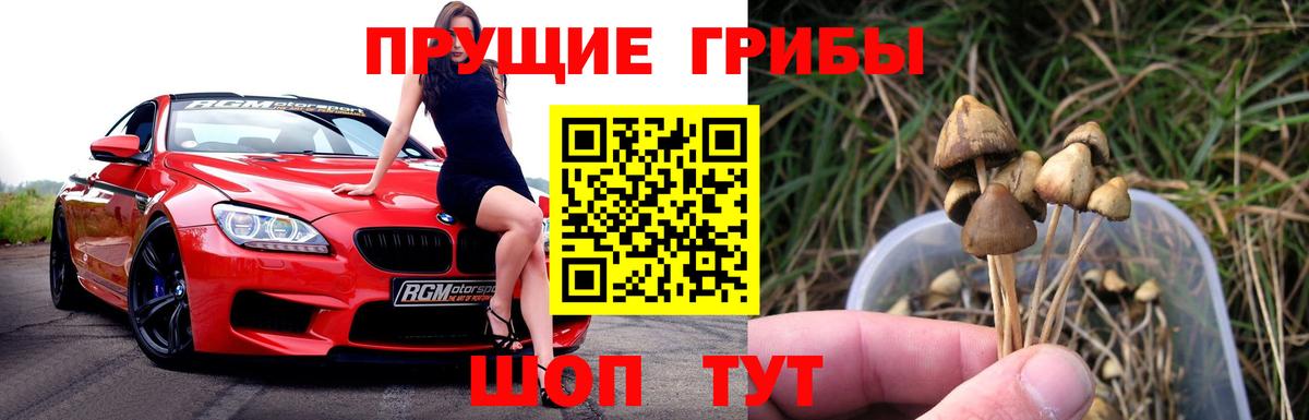 Новошахтинск  Галлюциногенные грибы GOLDEN TEACHER  Галлюциногенные грибы мухоморы  Вход с VPN 