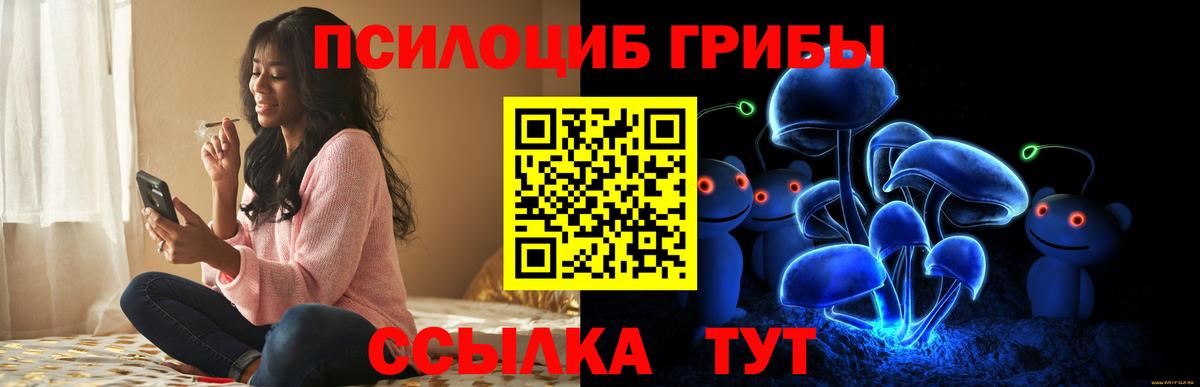 Галлюциногенные грибы прущие грибы Новошахтинск